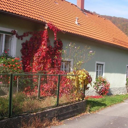 Haus Gerstbauer Apartment Aggsbach Exterior photo