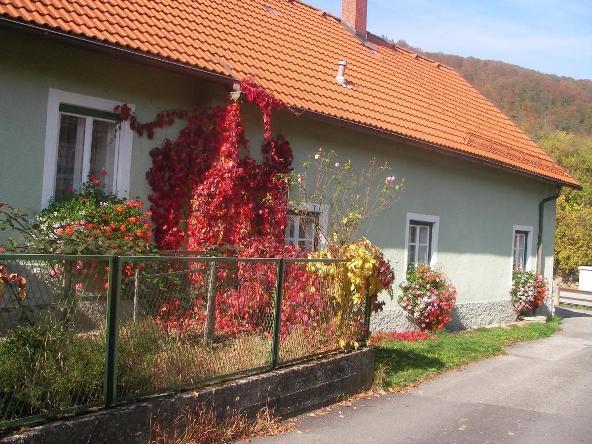 Haus Gerstbauer Apartment Aggsbach Exterior photo